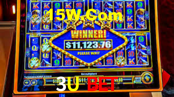 Interface Premium 3U Bet